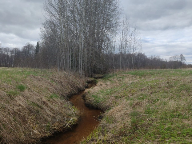 Купить земельный участок в Ленинградской области. Вариант № 8320008, 5, площадь -  квм, цена 1300000 рублей
