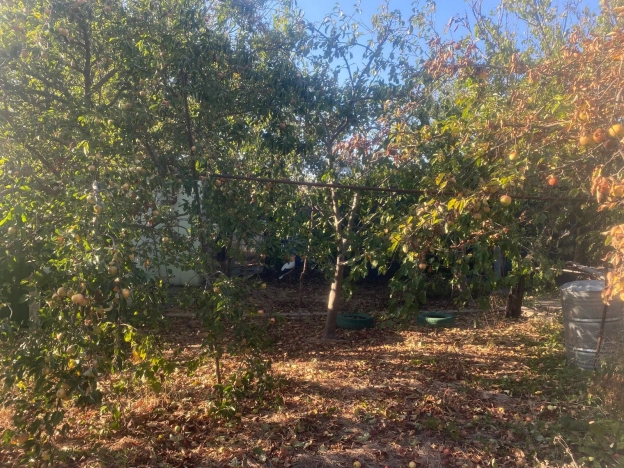 Купить земельный участок в Новороссийске. Вариант № 5232383, 7, площадь -  квм, цена 2290000 рублей