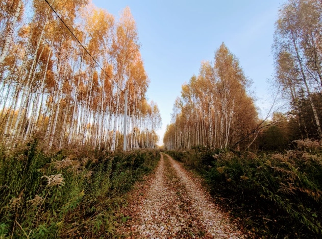Купить земельный участок в Владимире. Вариант № 1600, 1, площадь -  квм, цена 900000 рублей