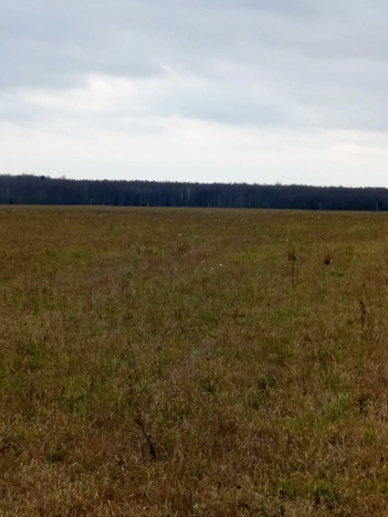 Купить земельный участок в Обнинске. Вариант № 9437462, 6, площадь -  квм, цена 1100000 рублей