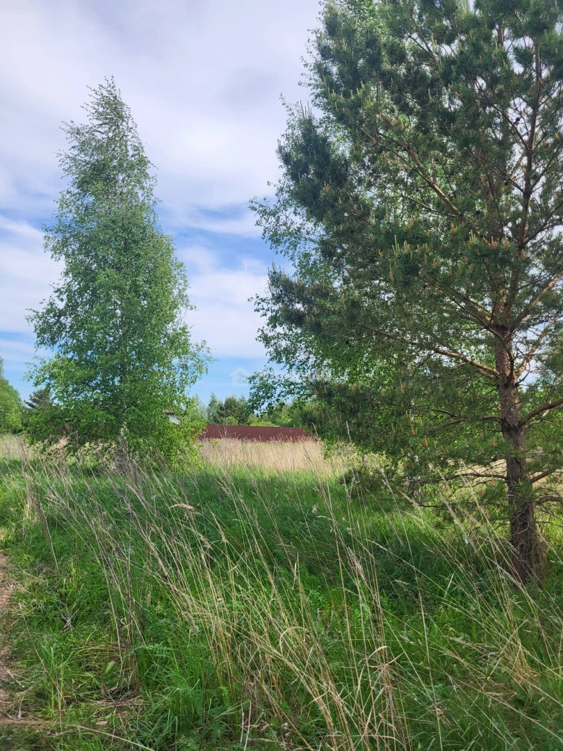 Photo https://36000382-a1c2-4a8a-a109-3fc3bfc73cf7.selcdn.net/App/Entity/ObjectRealty/ObjectRealty/KI/2b339667-552d-40f0-a848-a5e10a36df30/vEDInaRANDeq5TnHIghs8b49zNNC5MzDJNgYryi3.jpg.compressed.webp