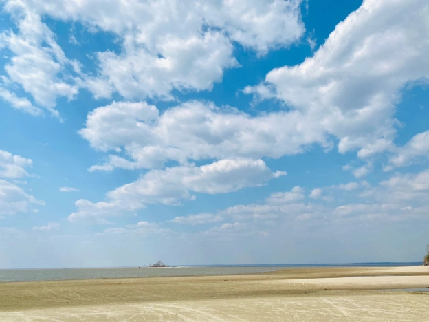 Купить четырехкомнатную квартиру в Новосибирской области. Вариант № 3400203, 40, площадь -  квм, цена 13900000 рублей