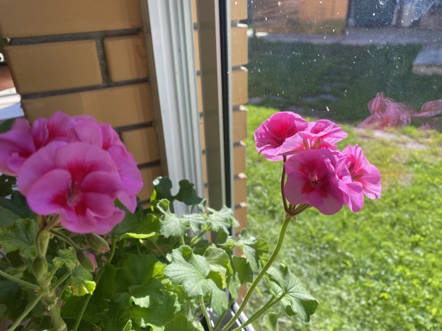 Купить дом в Москве. Вариант № 11944, 39, площадь - квм, цена 16800000 рублей