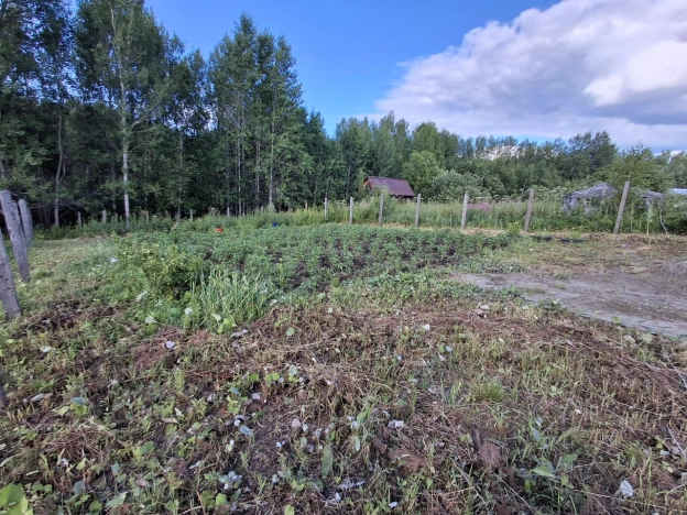 Купить земельный участок в Тобольске. Вариант № 60179, 6, площадь -  квм, цена 300000 рублей