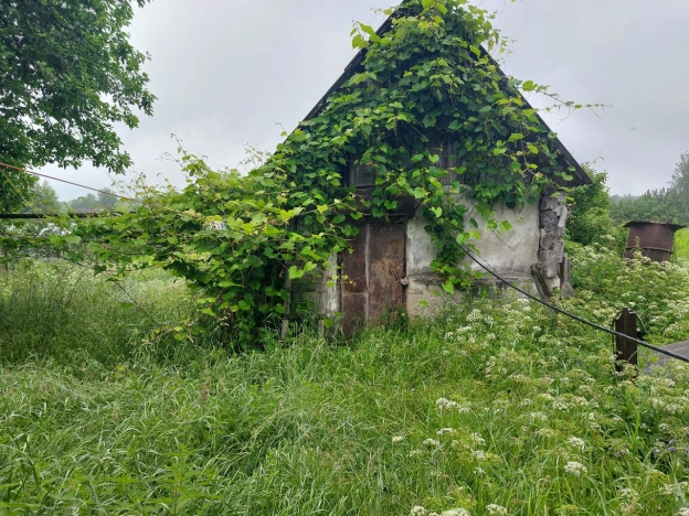 Купить дом в Брянской области. Вариант № 56492, 13, площадь -  квм, цена 1000000 рублей
