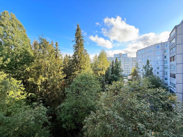 . Вариант № 5257659, 3, площадь - 35 квм, цена 4500000 рублей