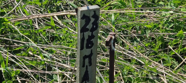 Купить земельный участок в Нижегородской области. Вариант № 34914, 4, площадь -  квм, цена 700000 рублей