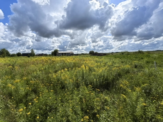 Купить земельный участок на улице Вознесенская в Ивановской области. Вариант № 1923710, 8, площадь -  квм, цена 990000 рублей