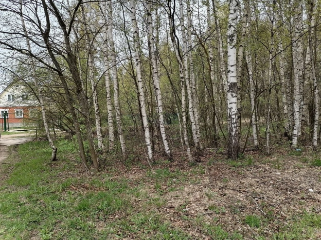 Купить земельный участок в Судогде. Вариант № 39125, 0, площадь -  квм, цена 390000 рублей