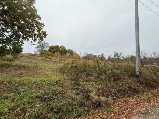 Купить земельный участок в Уссурийске. Вариант № 7561408, 1, площадь -  квм, цена 700000 рублей