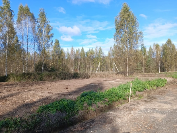 Купить земельный участок в Ленинградской области. Вариант № 6964732, 4, площадь -  квм, цена 2508800 рублей