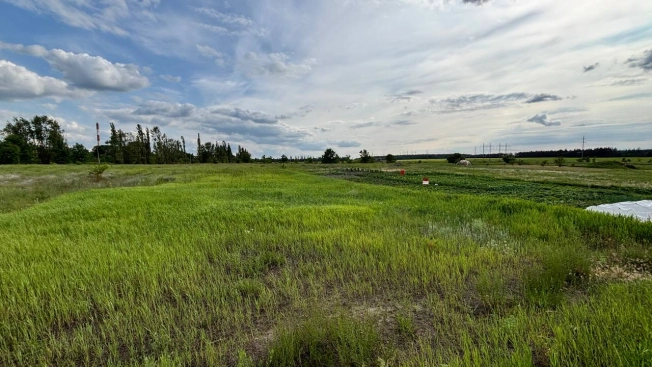 Купить дом в Микрорайоне Марышкин Лог, Старый Оскол в Старом Осколе. Вариант № 54190, 22, площадь -  квм, цена 5000000 рублей
