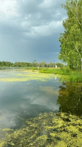 Купить земельный участок в Новосибирске. Вариант № 9816546, 7, площадь -  квм, цена 7700000 рублей