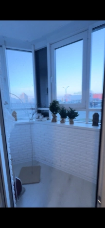 Купить однокомнатную квартиру в Старом Осколе. Вариант № 9101624, 24, площадь -  квм, цена 8500000 рублей