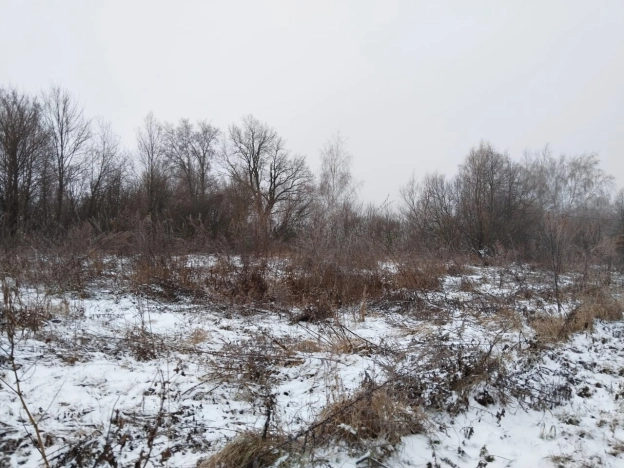 Купить земельный участок в Тульской области. Вариант № 19500, 9, площадь -  квм, цена 495000 рублей