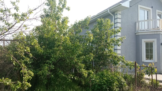 Купить земельный участок в Калининграде. Вариант № 9402385, 6, площадь -  квм, цена 2350000 рублей