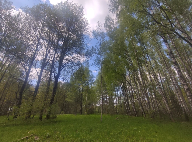 Купить земельный участок на улице Загородная в Ярославской области. Вариант № 1201656, 6, площадь -  квм, цена 1800000 рублей