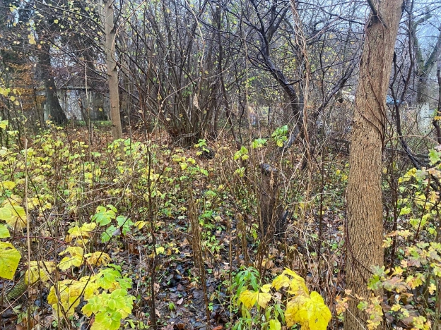 Купить земельный участок в Калининграде. Вариант № 9508834, 3, площадь -  квм, цена 9000000 рублей