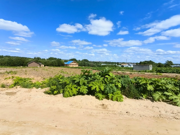 Купить земельный участок в Республике Коми. Вариант № 26797, 3, площадь -  квм, цена 1200000 рублей