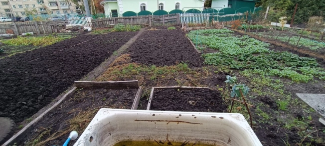 Купить квартиру на улице Механизаторов в Пензенской области. Вариант № 5870996, 16, площадь -  квм, цена 2250000 рублей