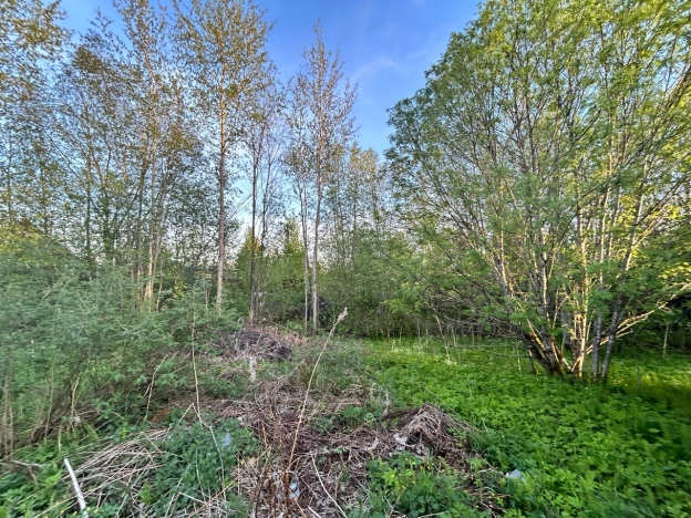 Купить земельный участок на улице Белые Ночи в Вологодской области. Вариант № 8307, 5, площадь -  квм, цена 150000 рублей