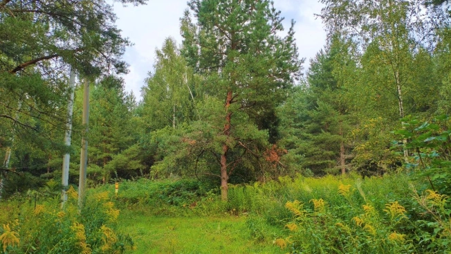 Купить земельный участок в районе Октябрьский в Владимире. Вариант № 1283260, 7, площадь -  квм, цена 2250000 рублей