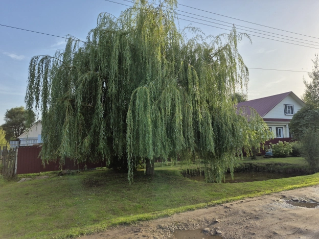 Купить дом на улице Кирова в Нижегородской области. Вариант № 3134800, 39, площадь -  квм, цена 4900000 рублей