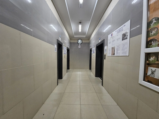 . Вариант № 8847436, 16, площадь - 43.9 квм, цена 7100000 рублей