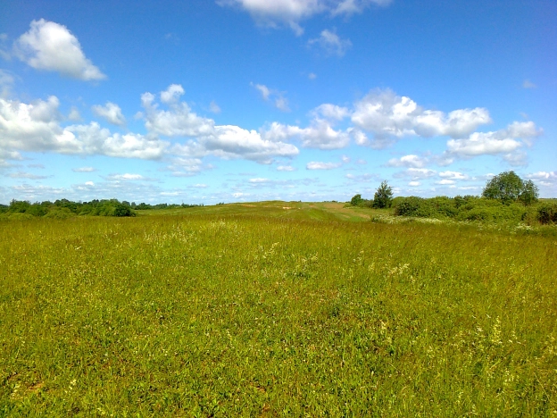 . Вариант № 28135, 0, площадь -  квм, цена 2300000 рублей