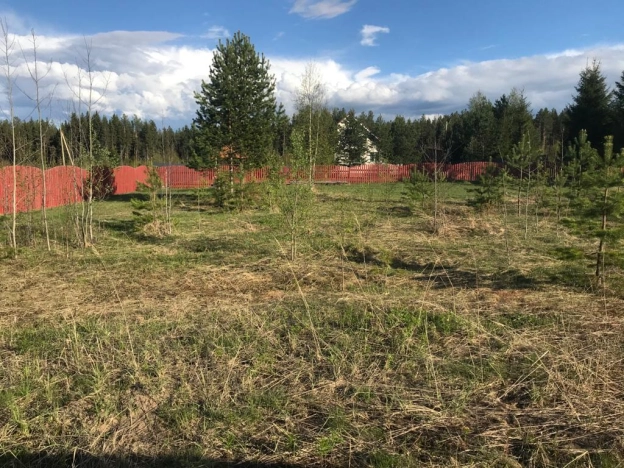 Купить земельный участок в Республике Коми. Вариант № 20853, 0, площадь -  квм, цена 150000 рублей