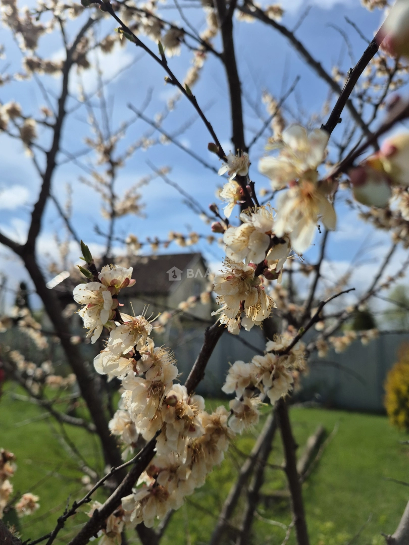 Photo https://36000382-a1c2-4a8a-a109-3fc3bfc73cf7.selcdn.net/App/Entity/ObjectRealty/ObjectRealty/KP/c1b61e09-f4d9-4f73-bda6-4ae49dfaec68/oStlpkyBVgu3X4FFO6C7dddLWoZWCzCqP6SZjAWx.jpg.compressed.webp