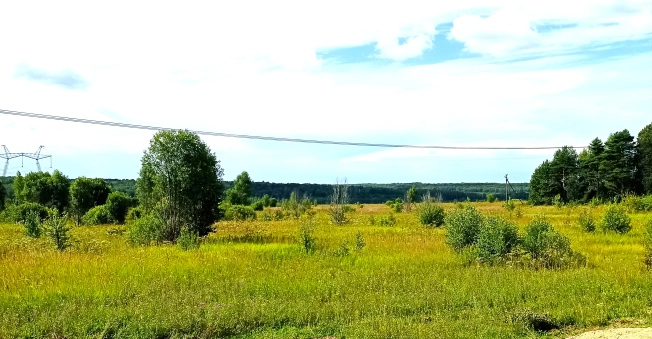 Купить земельный участок в Тульской области. Вариант № 3420, 9, площадь -  квм, цена 17800000 рублей