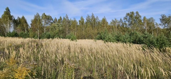 Купить земельный участок в Москве. Вариант № 5329781, 4, площадь -  квм, цена 790000 рублей