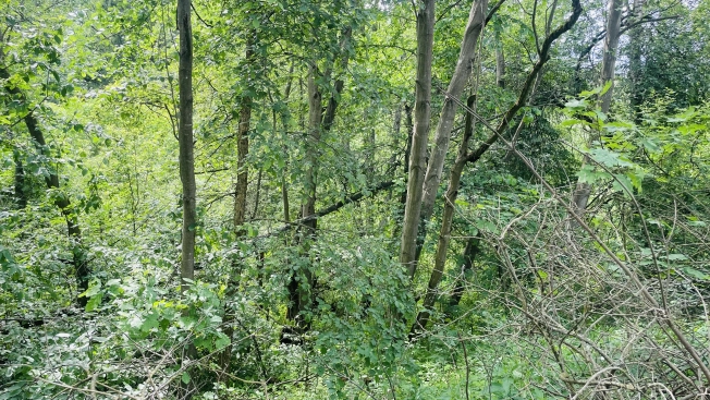 Купить земельный участок в Королёве. Вариант № 28218, 0, площадь -  квм, цена 4000000 рублей