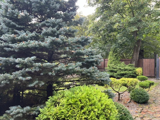 Купить дом на улице Каменная в Зеленоградске. Вариант № 14784, 2, площадь -  квм, цена 15500000 рублей