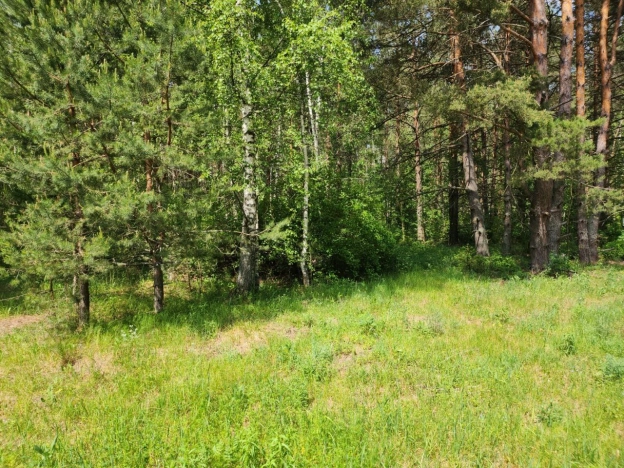 Купить земельный участок в Покрове. Вариант № 6271, 2, площадь -  квм, цена 1490000 рублей