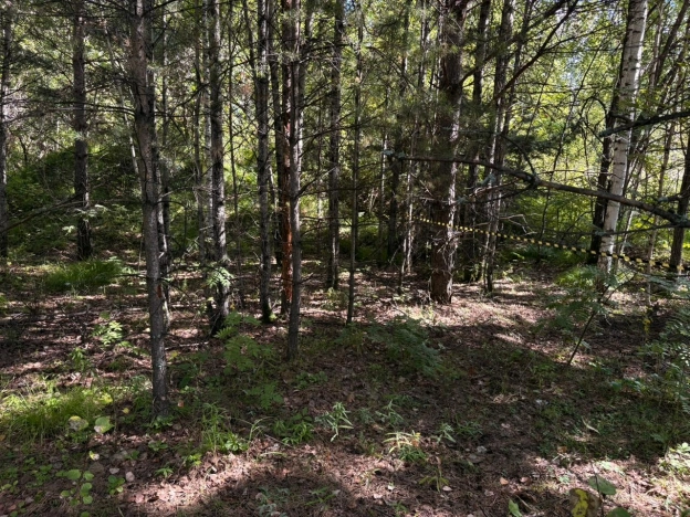 Купить земельный участок в Тобольске. Вариант № 1750903, 11, площадь -  квм, цена 2000000 рублей