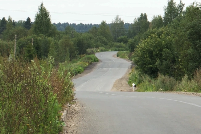 Купить земельный участок в Ярославской области. Вариант № 10436571, 2, площадь -  квм, цена 170000 рублей