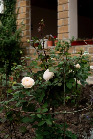 Купить дом на улице Мичурина в Керчи. Вариант № 3712930, 43, площадь -  квм, цена 49000000 рублей