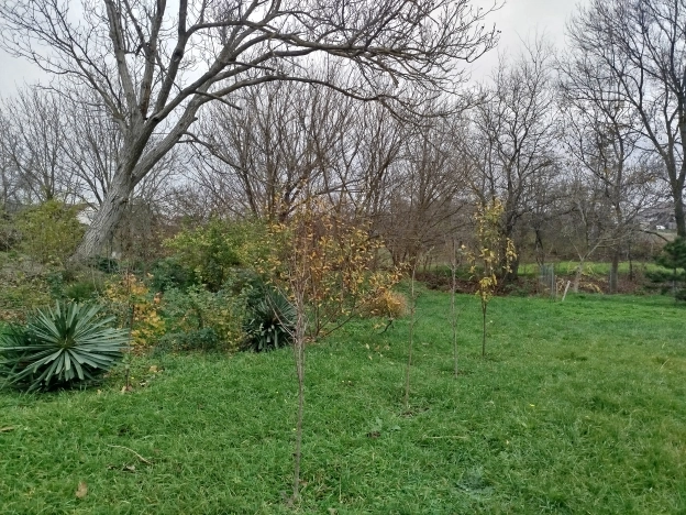 Купить земельный участок в Новороссийске. Вариант № 9969493, 12, площадь -  квм, цена 3950000 рублей