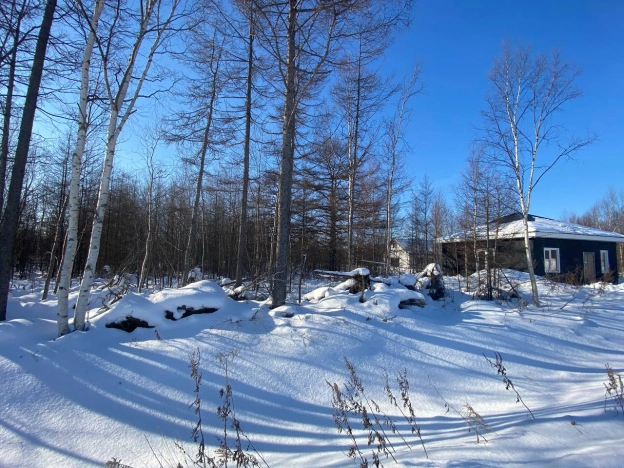 Купить земельный участок на улице Берёзовый переулок в Южно-Сахалинске. Вариант № 22485, 0, площадь - квм, цена 2000000 рублей