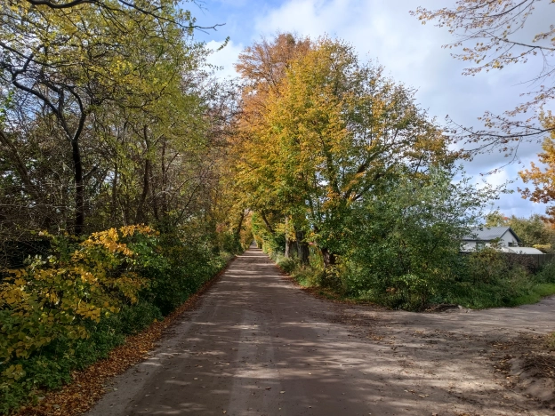 Купить земельный участок в Калининграде. Вариант № 7234188, 3, площадь -  квм, цена 900000 рублей