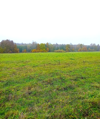 Купить земельный участок в Москве. Вариант № 9436036, 9, площадь -  квм, цена 49800000 рублей