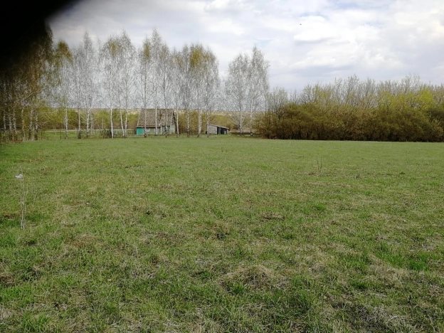 Купить земельный участок в Пензе. Вариант № 19667, 3, площадь -  квм, цена 2500000 рублей