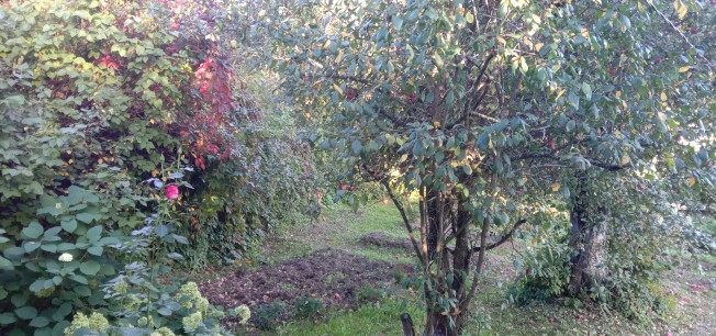 Купить дачу в Московской области. Вариант № 6628693, 10, площадь -  квм, цена 400000 рублей