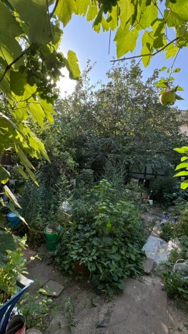 . Вариант № 6235, 4, площадь - 60 квм, цена 3100000 рублей