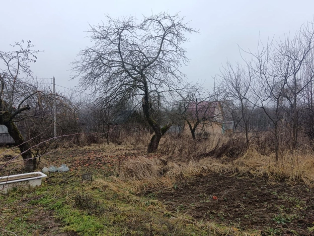 Купить дачу в Владимирской области. Вариант № 10205452, 5, площадь -  квм, цена 1200000 рублей