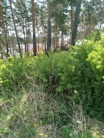 Купить земельный участок в Улан-Удэ. Вариант № 32389, 5, площадь -  квм, цена 2100000 рублей