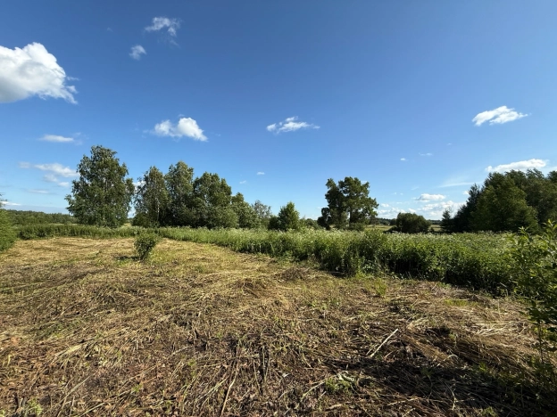 Купить земельный участок в Вологодской области. Вариант № 61367, 4, площадь -  квм, цена 300000 рублей