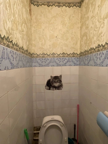 Купить квартиру на улице Князя Трубецкого в Белгороде. Вариант № 27271, 7, площадь -  квм, цена 4100000 рублей